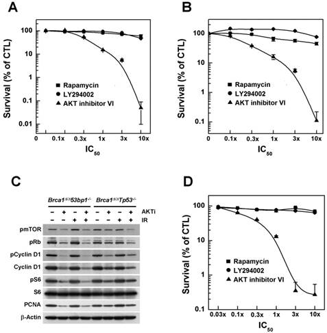 Int J Biol Sci Image