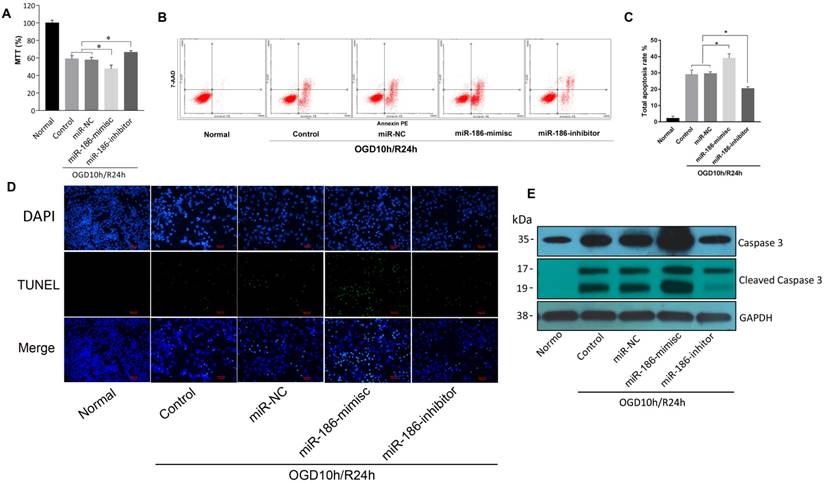 Int J Biol Sci Image