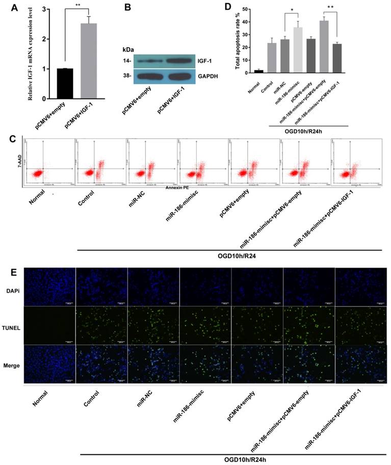 Int J Biol Sci Image