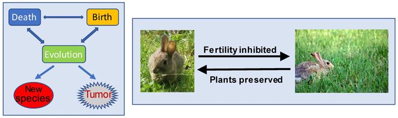 Int J Biol Sci Image