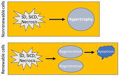 Int J Biol Sci Image