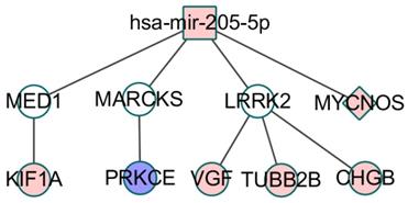 Int J Biol Sci Image