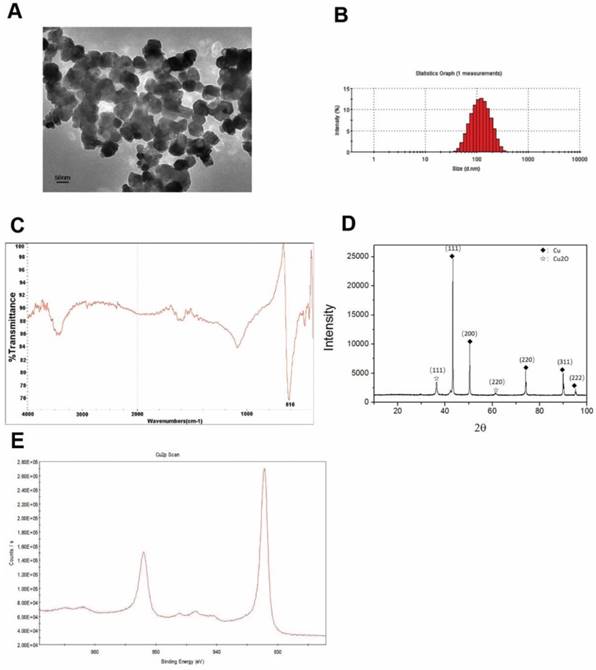 Int J Biol Sci Image