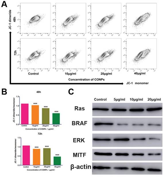 Int J Biol Sci Image