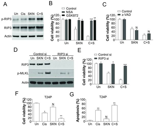 Int J Biol Sci Image