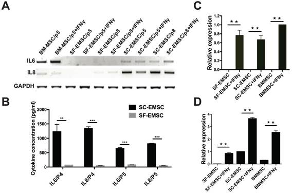 Int J Biol Sci Image