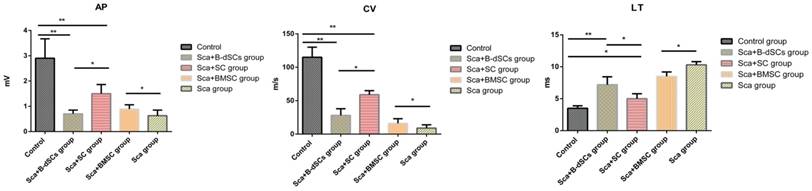 Int J Biol Sci Image