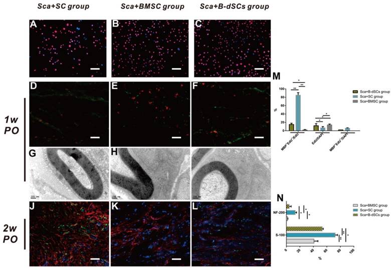 Int J Biol Sci Image