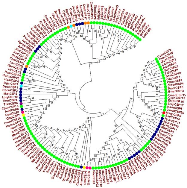 Int J Biol Sci Image