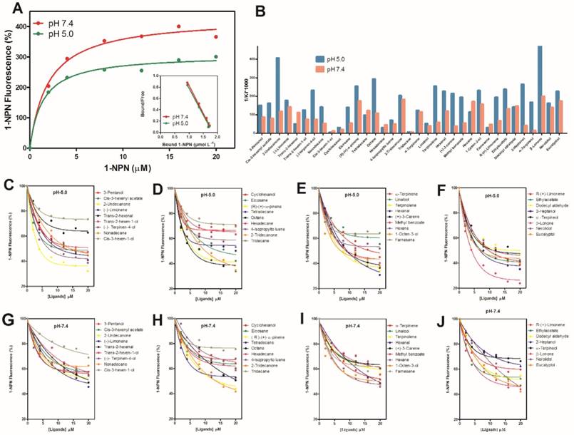 Int J Biol Sci Image