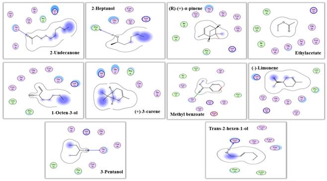 Int J Biol Sci Image