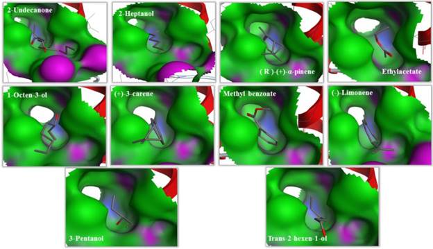 Int J Biol Sci Image