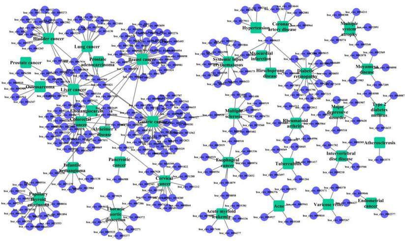 Int J Biol Sci Image