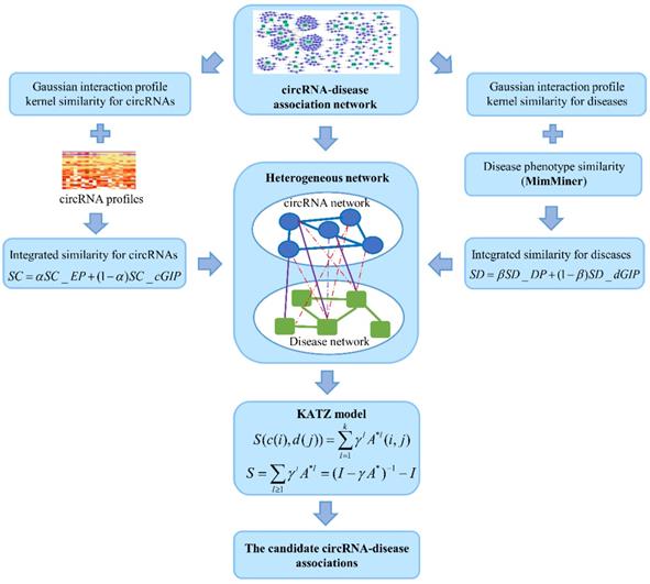 Int J Biol Sci Image