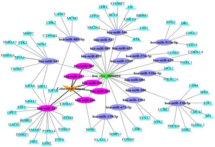 Int J Biol Sci Image