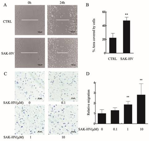 Int J Biol Sci Image