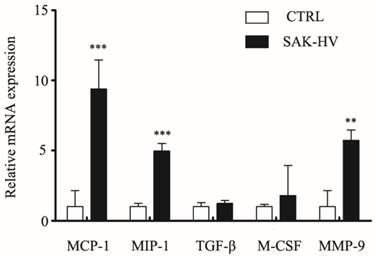 Int J Biol Sci Image