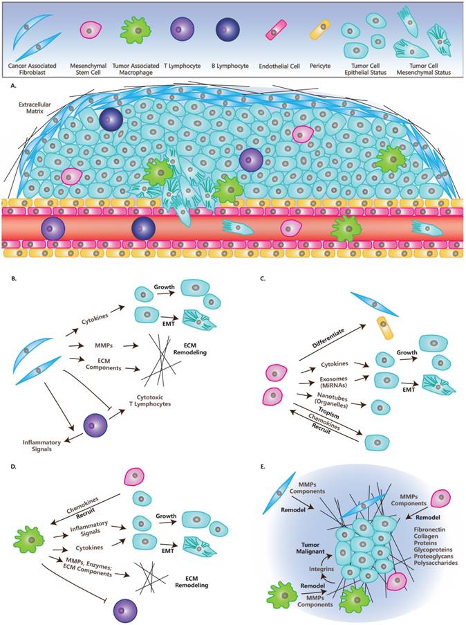 Int J Biol Sci Image