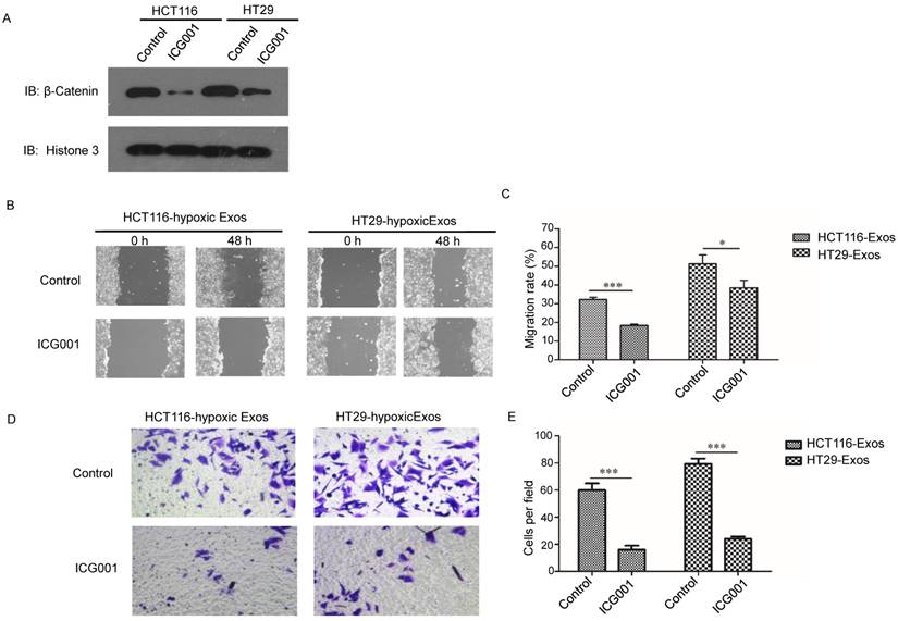 Int J Biol Sci Image