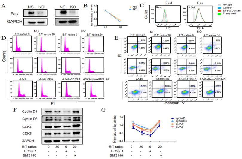 Int J Biol Sci Image