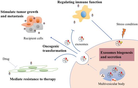 Int J Biol Sci Image