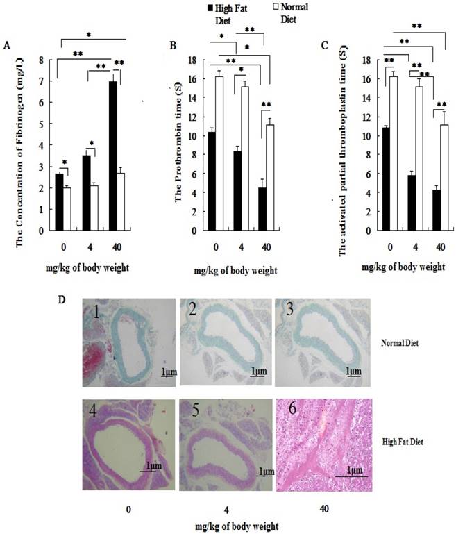 Int J Biol Sci Image