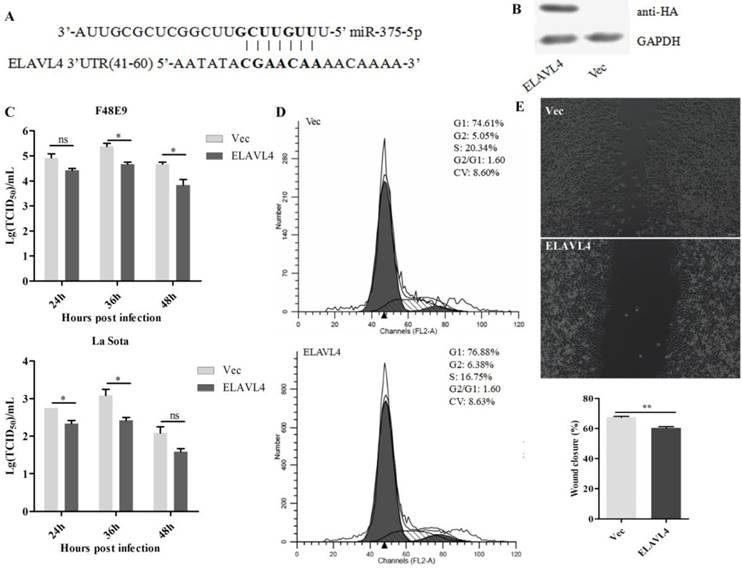 Int J Biol Sci Image