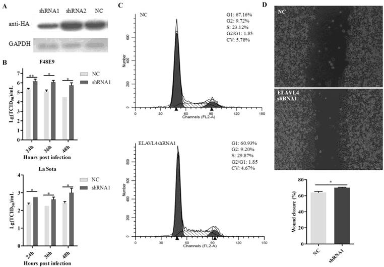 Int J Biol Sci Image