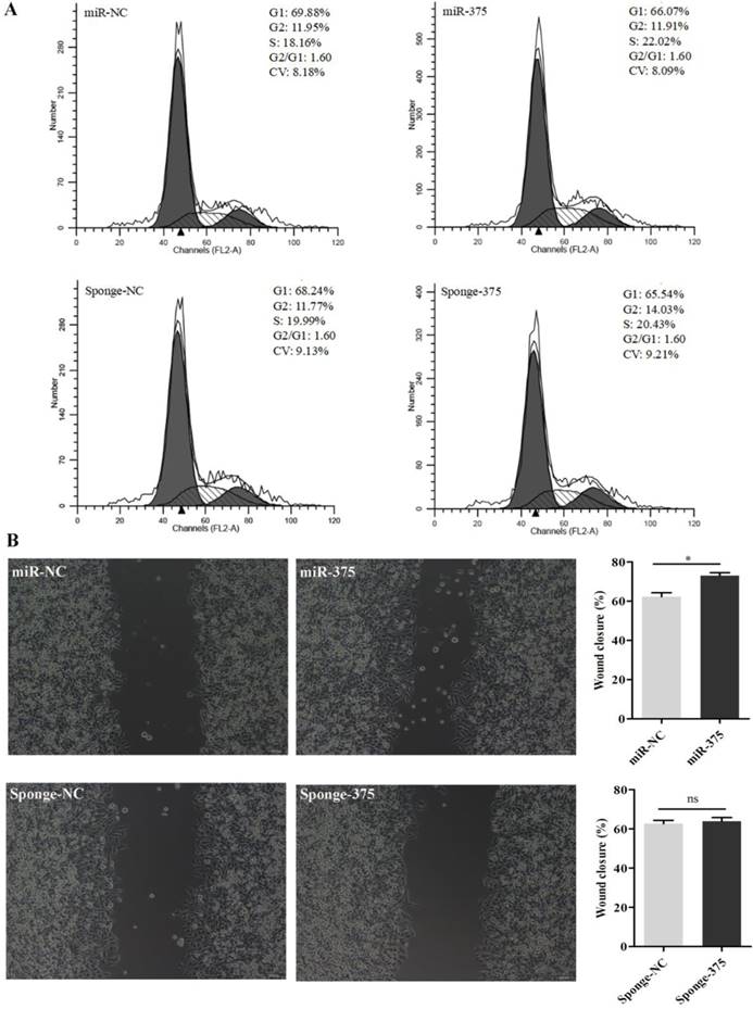 Int J Biol Sci Image