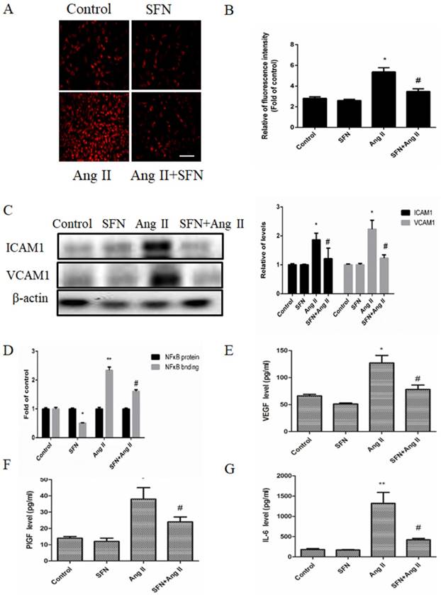 Int J Biol Sci Image