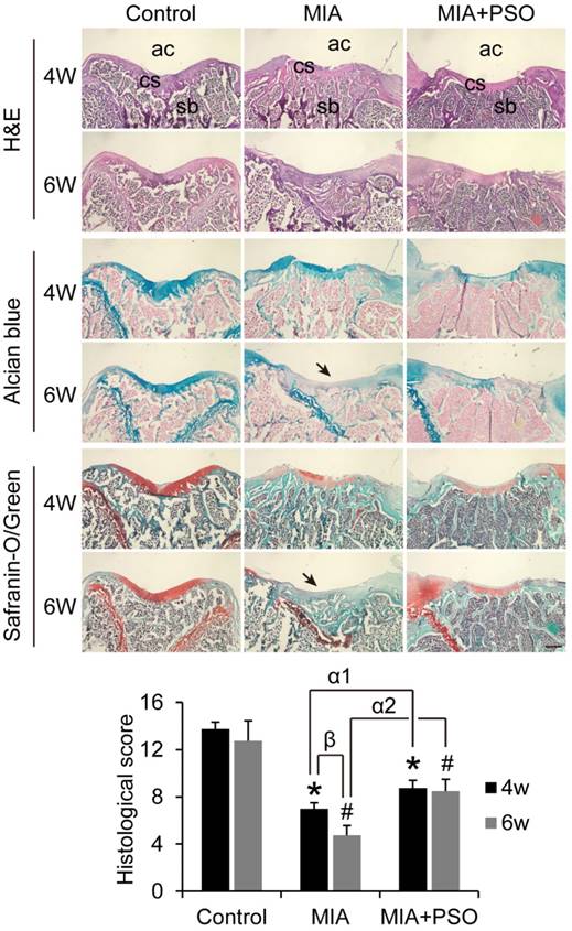 Int J Biol Sci Image