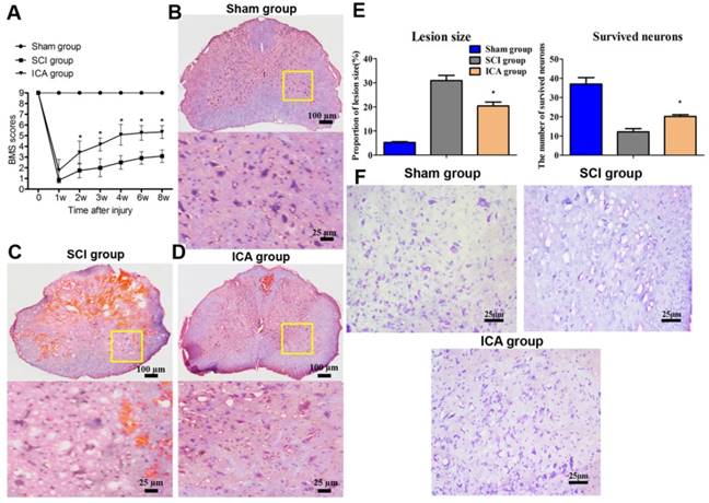 Int J Biol Sci Image