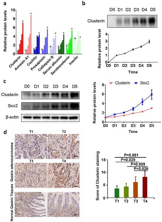 Int J Biol Sci Image