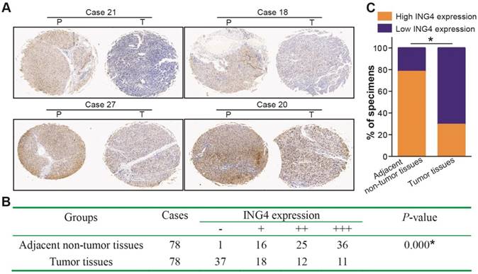 Int J Biol Sci Image