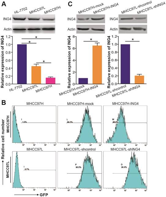 Int J Biol Sci Image