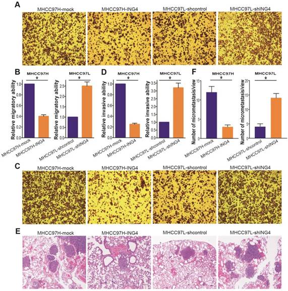 Int J Biol Sci Image