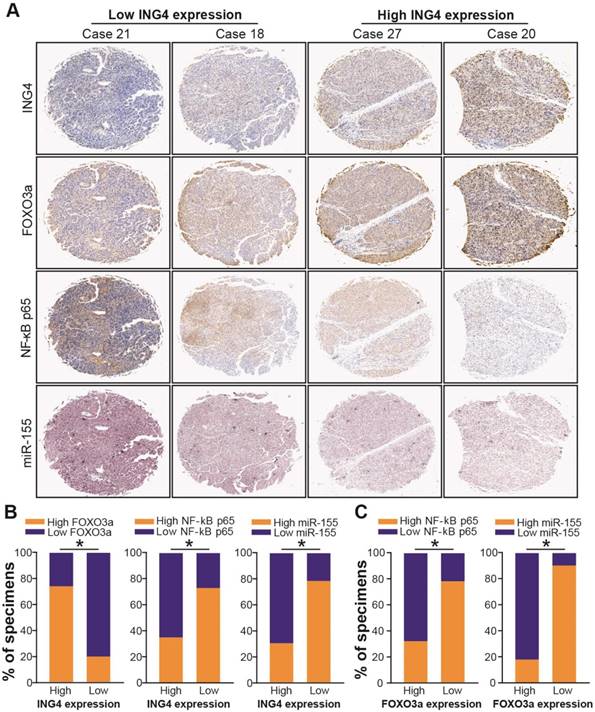 Int J Biol Sci Image