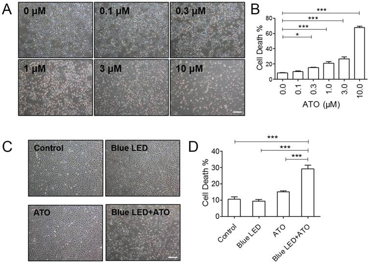 Int J Biol Sci Image