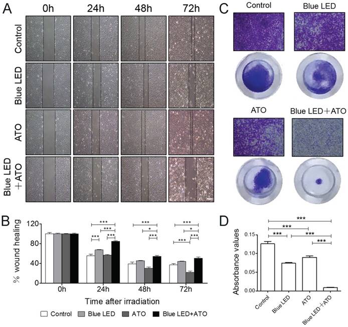 Int J Biol Sci Image