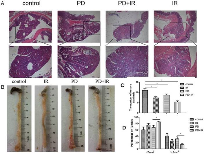 Int J Biol Sci Image