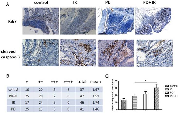 Int J Biol Sci Image