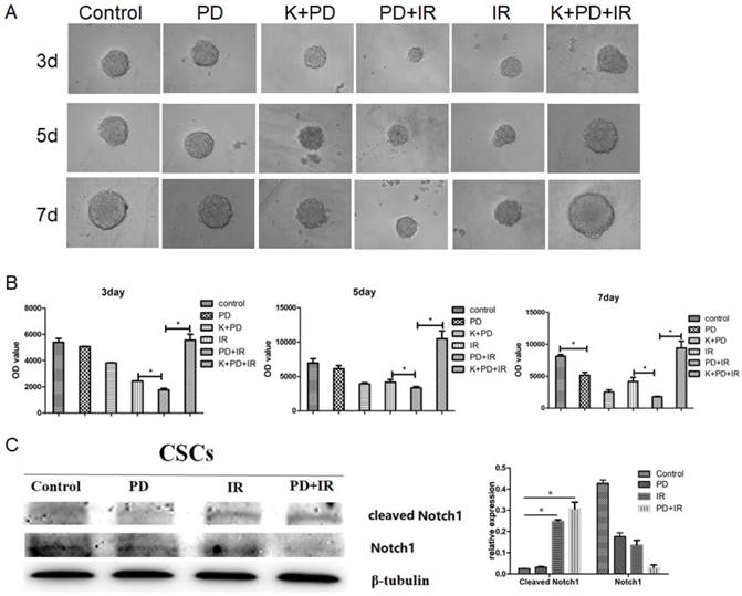 Int J Biol Sci Image