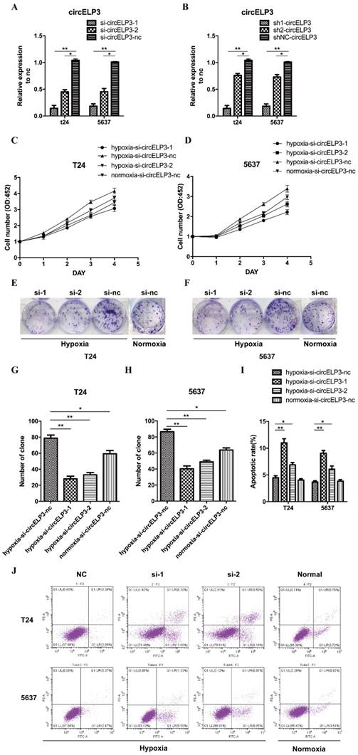 Int J Biol Sci Image