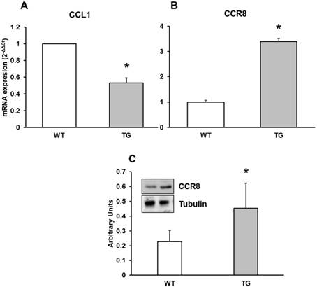 Int J Biol Sci Image