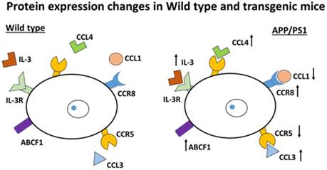 Int J Biol Sci Image