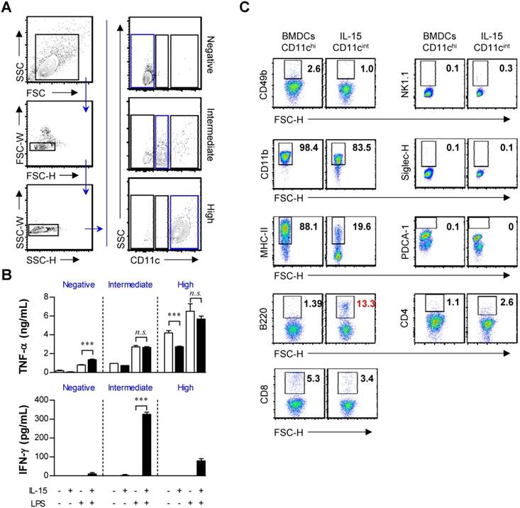 Int J Biol Sci Image