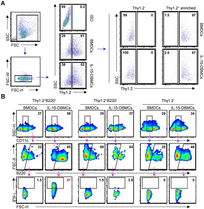 Int J Biol Sci Image