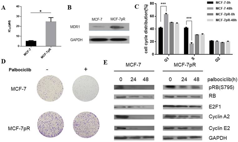 Int J Biol Sci Image