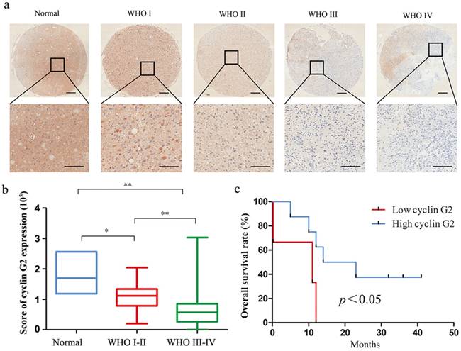 Int J Biol Sci Image