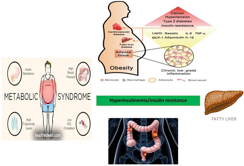 Int J Biol Sci Image